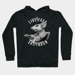 Live fast eat trash - possum driving car Hoodie